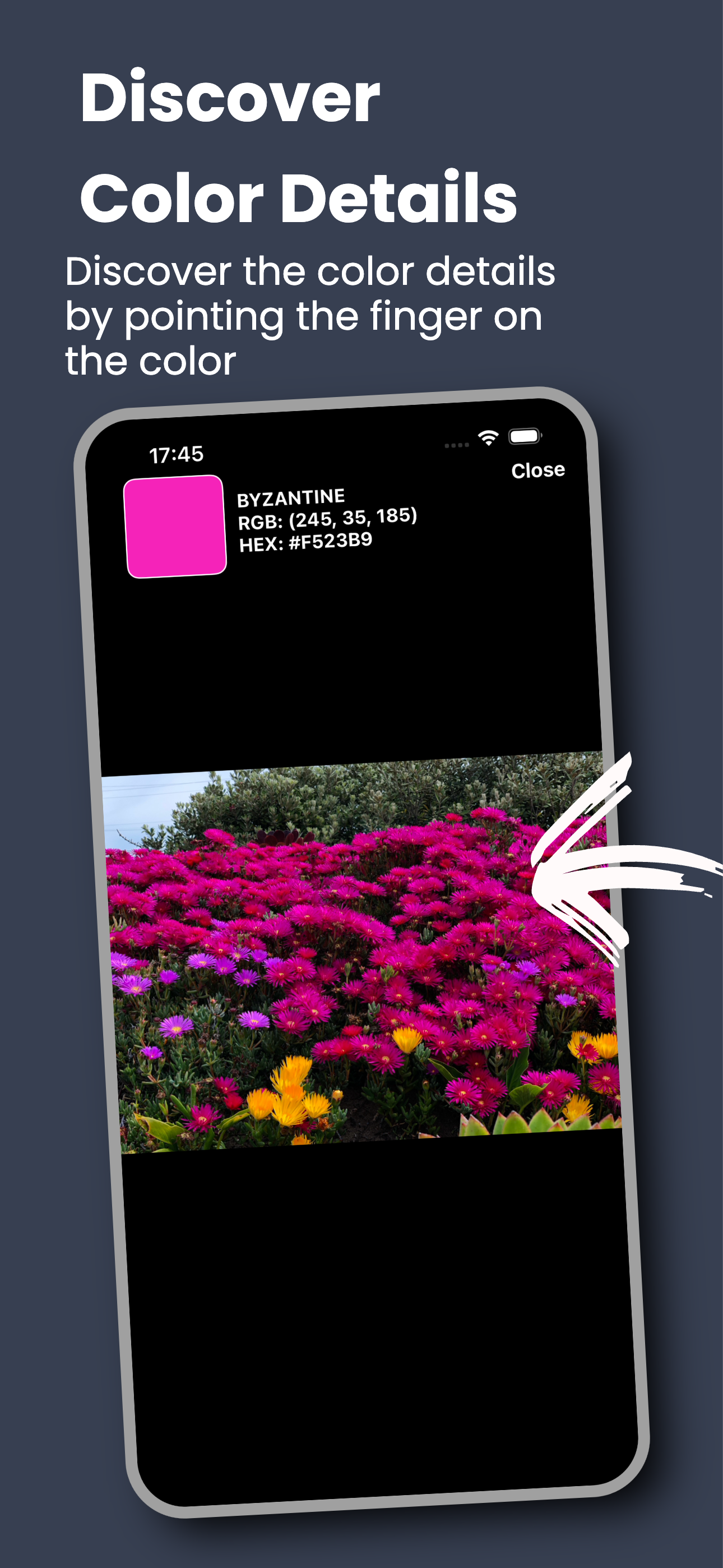 Full-Screen Pixel Inspector